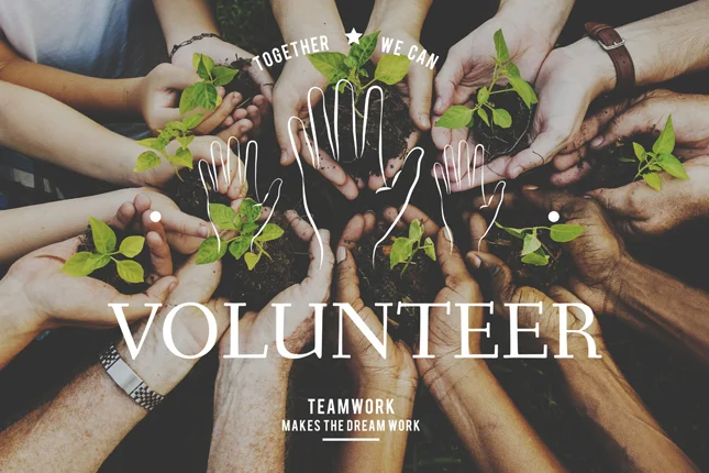 Non-Profit Organisation - Roger Boghani