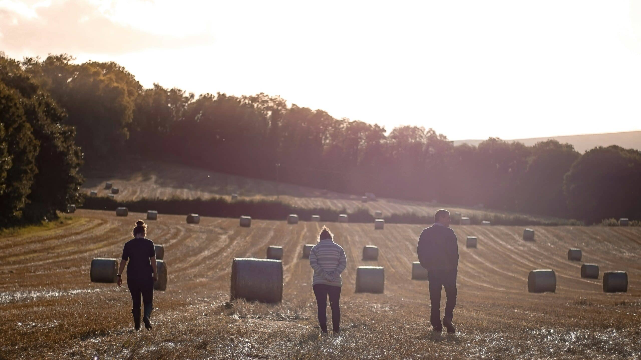 Australian farming families can be impacted by CGT.